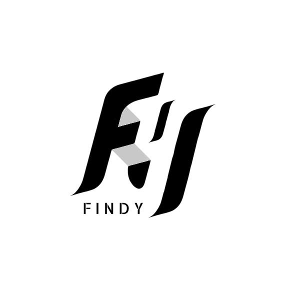 FINDY Logo